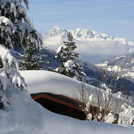 Chalets Ebner Eben Im Pongau Eksteriør bilde